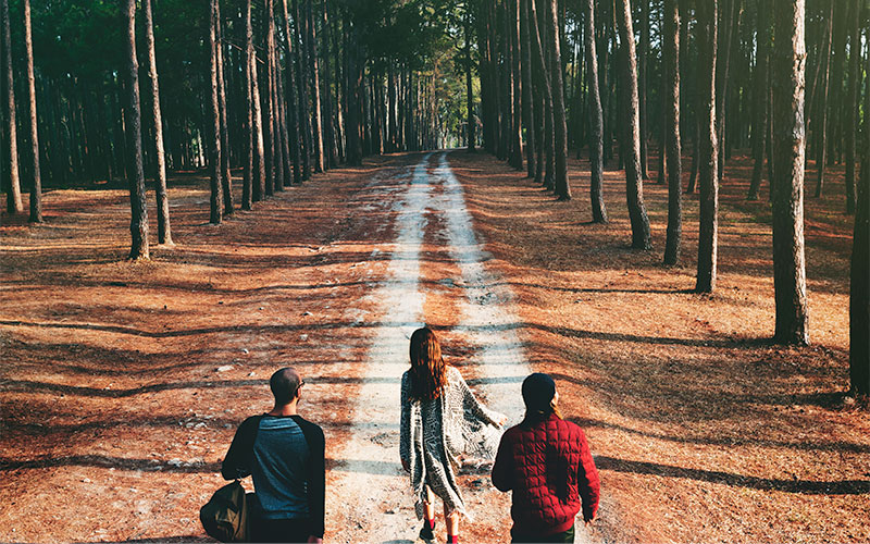 Gruppe auf einem Waldweg