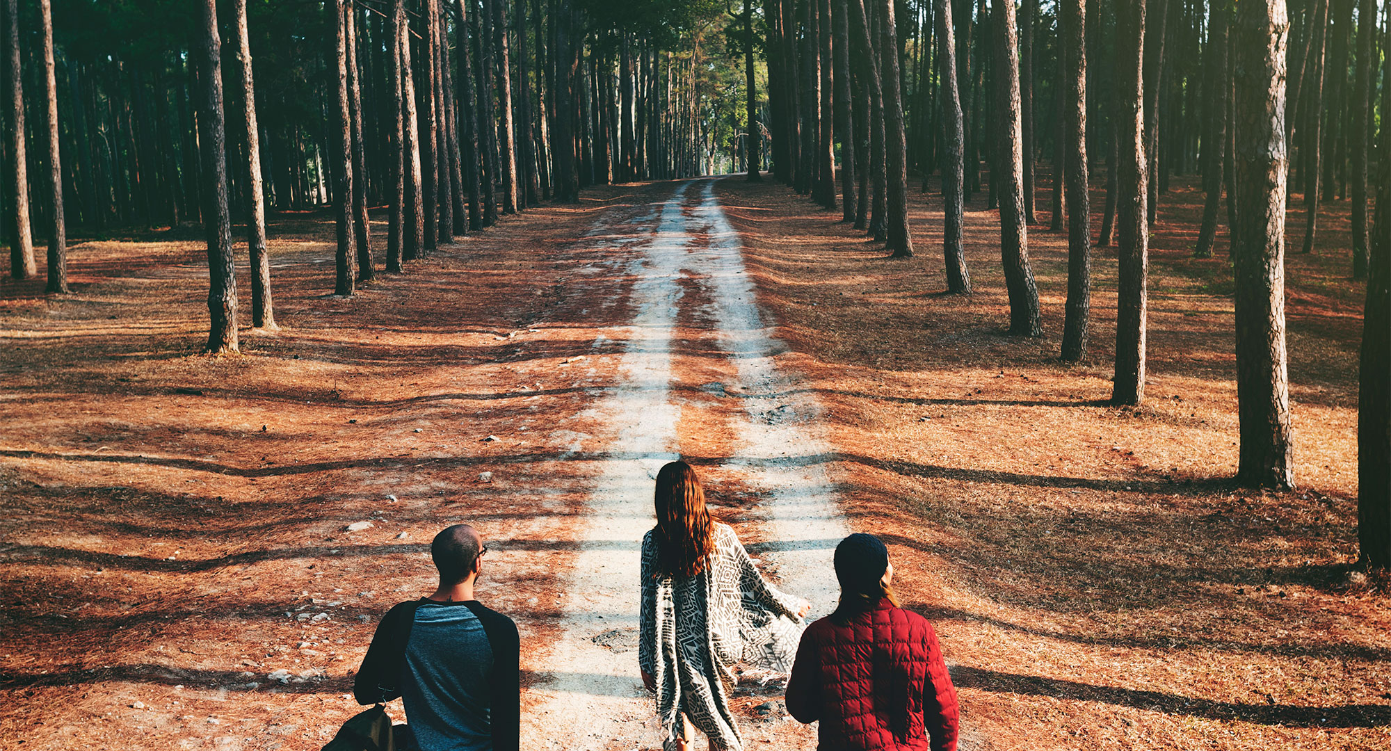 Gruppe auf einem Waldweg